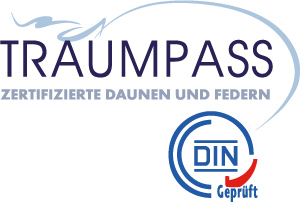 Downpass 2017 Logo DE